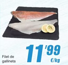 Filet De Gallineta