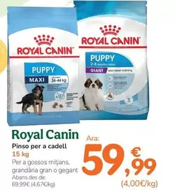 Royal Canin - Pienso Para Cachorro