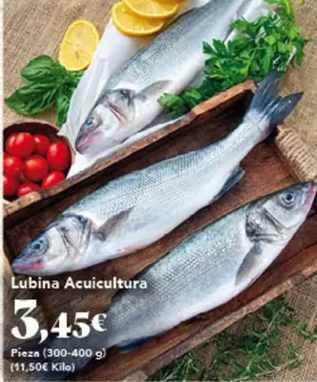 Lubina Acuicultura