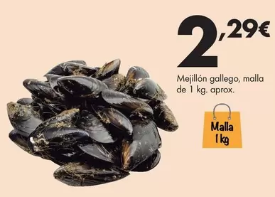 Mejillón Gallego, Malla De 1 Kg