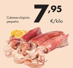Calamar-Chipiron Pequeño