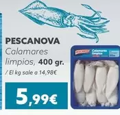 Pescanova - Calamares Limpios