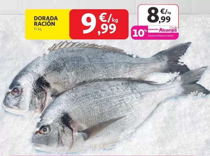 Dorada Racion