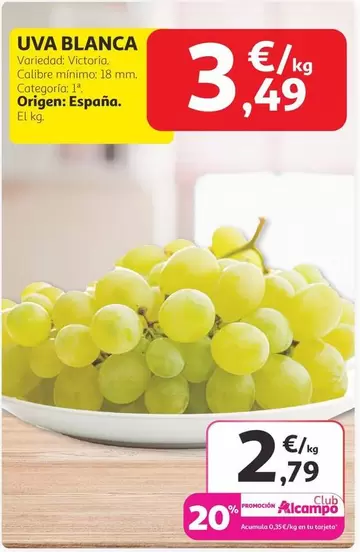 Uva Blanca