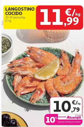 Lagostino Cocido