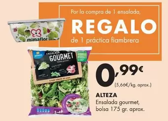 Alteza - Ensalada Gourmet
