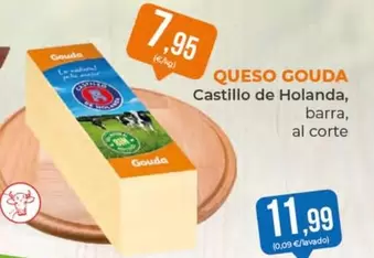 Castillo de Holanda - Queso Gouda