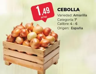 origen - Cebolla