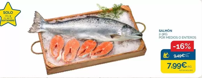 Solo - Salmon