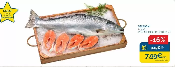 Solo - Salmon
