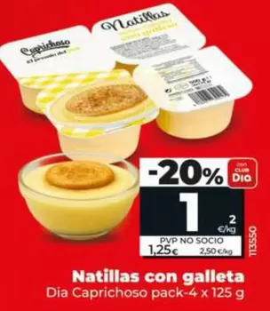 Dia Caprichoso - Natillas Con Galleta 