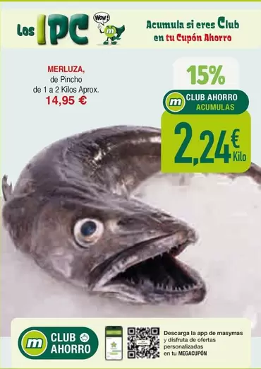 wow - Merluza