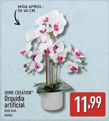Home Creation - Orquídia Artificial