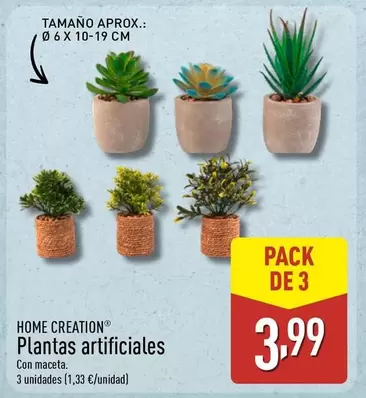 Home Creation - Plantas Artificiales
