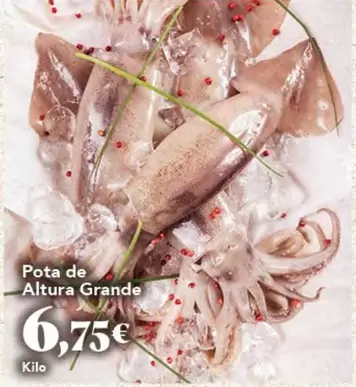 Pota De Altura Grande