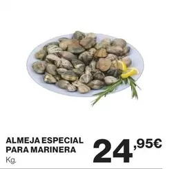 Almeja Especial Para Marinera