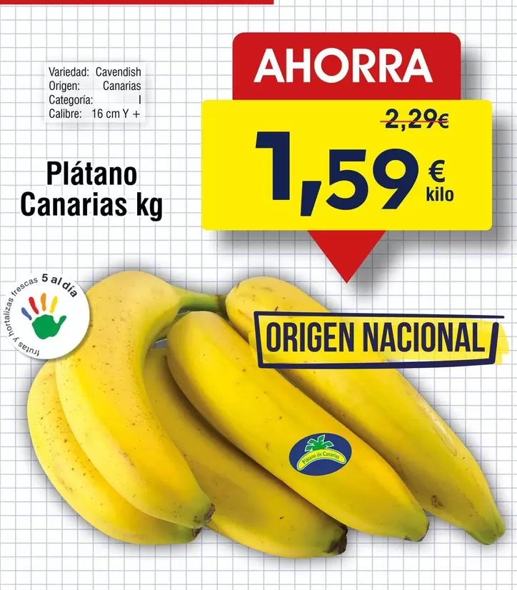 origen - Platano Canarias