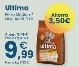 Última - Perro Medium