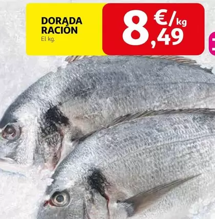 Dorada Ración