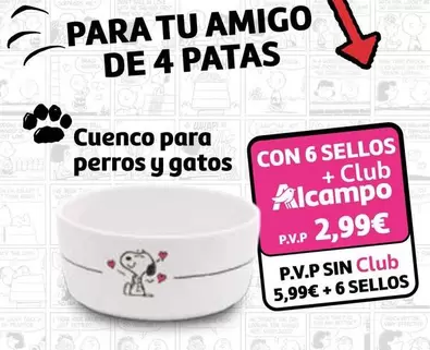 Amigo - Cuenco Para Perros Y Gatos