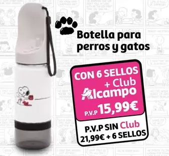 only - Botella Para Perros Y Gatos