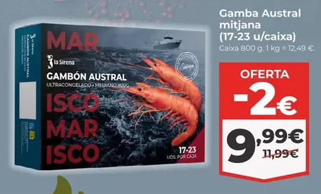 Gamba Austral Mijiana