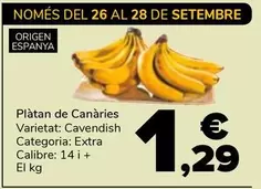 Platan De Canàries