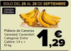 Platano De Canarias
