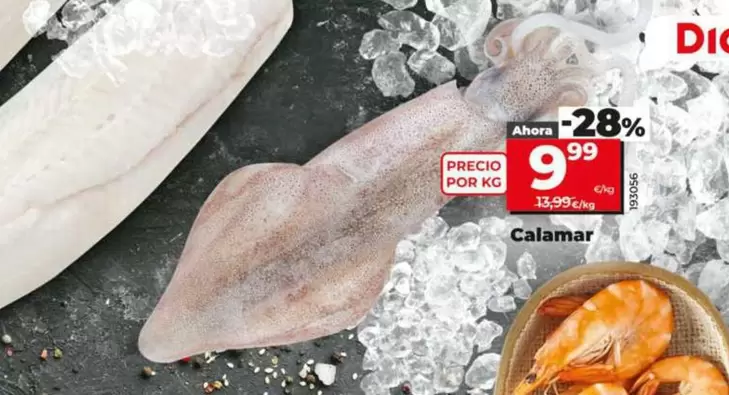 Calamar