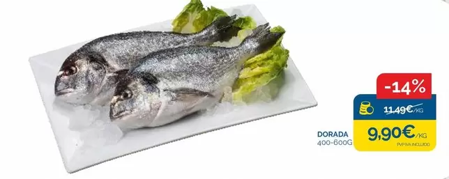 dorada - Dorada