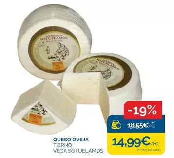 Vega Sotuelamos - Queso Oveja