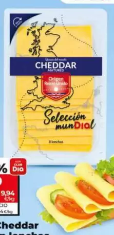 Dia Seleccion Mundial - Queso Cheddar Inglés En Lonchas 