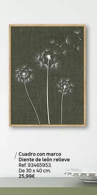 Cuadro Con Marco Diente De Léon Relieve
