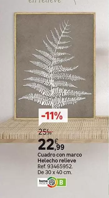 Cuadro Con Marco Helecho Relieve