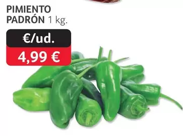 Pimiento Padrón