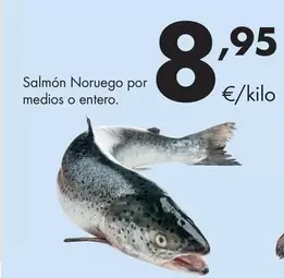 Salmón Noruego Por Medios O Entero