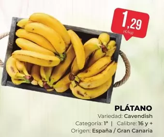 Platano