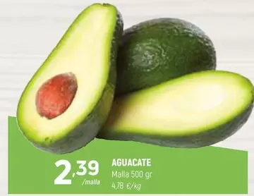 Aguacate