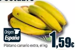 Platano Canario Extra