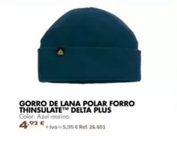 Gorro De Lana Polar Forro Thinsulate Delta Plus