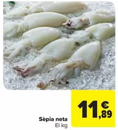 Sèpia Neta
