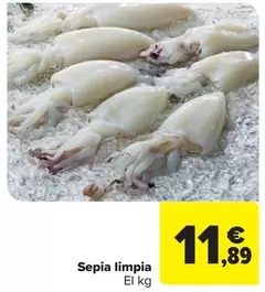 Sepia Limpia