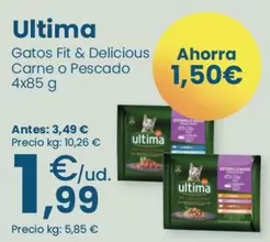 Última - Gatos Fit & Delicious Carne O Pescado