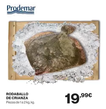 Prodemar - Rodaballo De Crianza