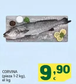 Corvina