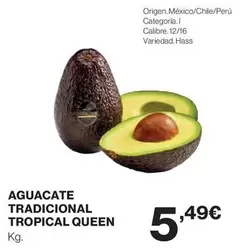 Tropical - Aguacate Tradicional  Queen
