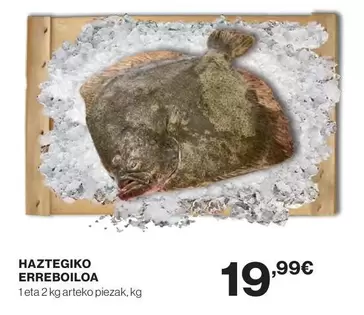 Prodemar - Haztegiko Erreboiloa