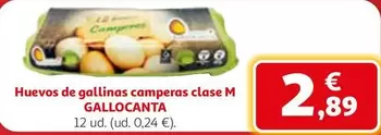 huevos de gallinas camperas clase M