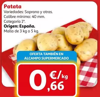 origen - Patata