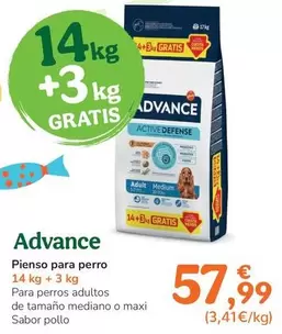 Advance - Pienso Para Perro